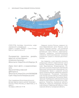 О весеннем прилете птиц. 5 и 6 волны прилета