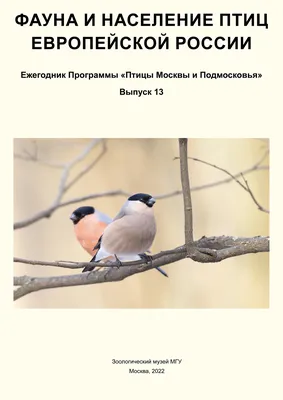 Программа птицы Москвы и Подмосковья | Журнал \"Московка\"