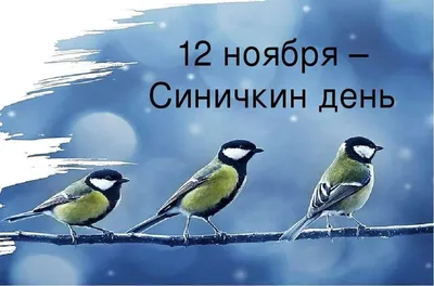 Птицы северо запада россии - 71 фото