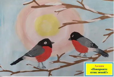 Улправда - Ульяновские ученые выяснили, почему эти птицы на север летят