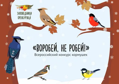 Зимующие птицы волгоградской области фото фото