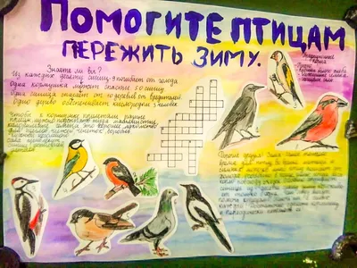 Птицы вологодской области - 67 фото