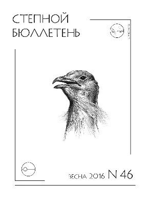 Птицы пермского края - 65 фото