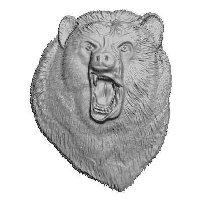 Злая Мультяшный Медведь — стоковые фотографии и другие картинки Бурый  медведь - Бурый медведь, Веселье, Волосы животного - iStock