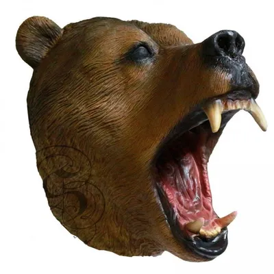 Злой Медведь Гризли Голова Животного Изолированный Талисман Атака Дикое  Хищное Векторное изображение ©Seamartini 376877394