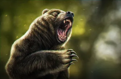Злой медведь: истории из жизни, советы, новости, юмор и картинки — Горячее  | Пикабу