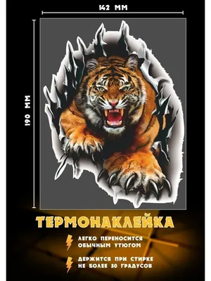 Тигр злой - картинки и фото koshka.top