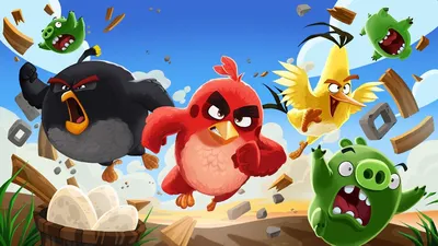 Angry Birds - аттракцион Злые Птицы - Аренда аттракциона на мероприятие, на  праздник - Аренда и прокат аттракционов для ивента