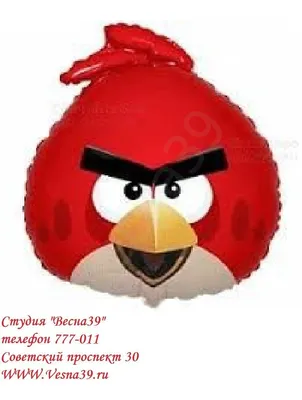 Злые птицы Angry birds – 3D Exclusive