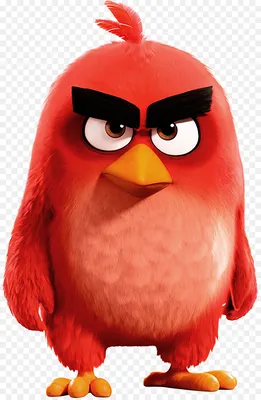 Мягкая игрушка Angry Birds Red Енгри бердс 18 см. Злые птицы красный: 164  грн. - Мягкие животные Прилуки на Olx