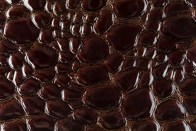 Змеиная кожа стоковое изображение. изображение насчитывающей прессформа -  174680759