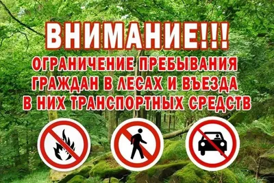 Министерство природных ресурсов и охраны окружающей среды Республики  Калмыкия сообщает о введении ограничения пребывания граждан в лесах и  въезда в них транспортных средств на территории лесного фонда республики.