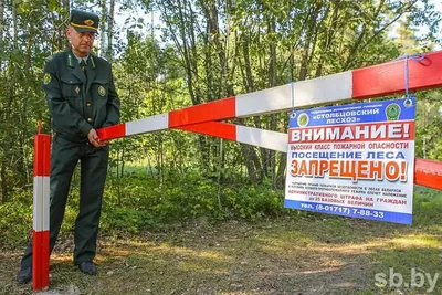 Ограничения и запреты на посещение лесов