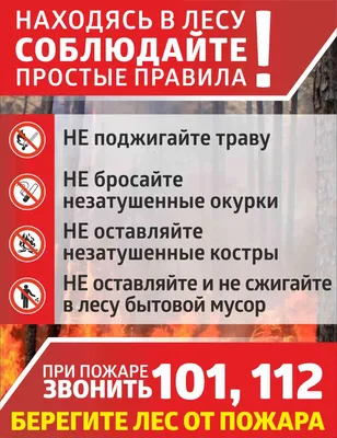 Табличка Берегите лес от пожара купить в Москве, цены | Артикул не указан –  «ГАСЗНАК»