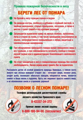 Берегите лес от огня! | Администрация Городского округа Подольск