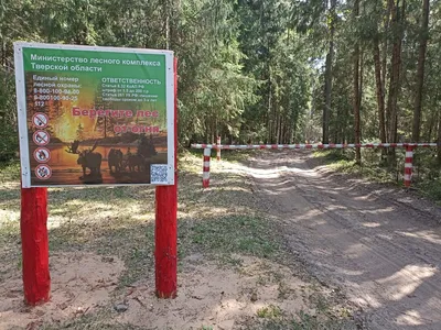 Как защитить лес от пожаров. ПАМЯТКА - Кировский муниципальный район  Приморский край