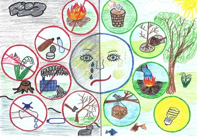 Экологические знаки для детей раскраски - 65 фото