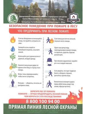 Правила пожарной безопасности в лесах | Администрация Городского округа  Подольск