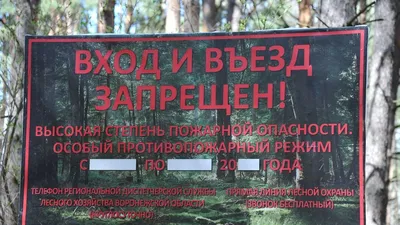 В Калмыкии ввели ограничения пребывания граждан в лесах – Степные вести