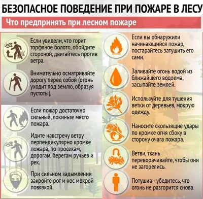 Безопасное поведение при пожаре в лесу
