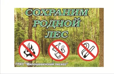 Охрана и защита леса - Милошевичский лесхоз