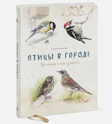 Странствующий голубь: как уничтожили самую многочисленную птицу на планете  | STENA.ee