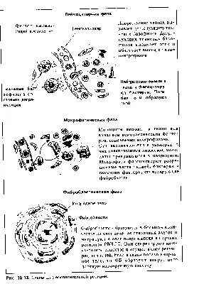 гг™иилиочереинойстатьи '