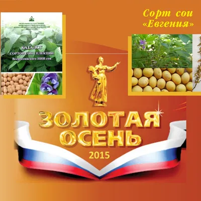 Золотая осень 2015 в Ботаническом саду Москвы (видео) | Хаус-ТВ