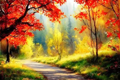 золотая осень в лесу Stock Photo | Adobe Stock
