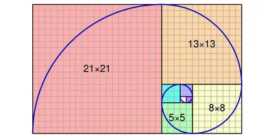 Что такое золотое сечение и правда ли оно повсюду - Лайфхакер