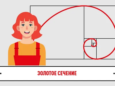 Это не обсуждается: Золотое сечение - KP.RU