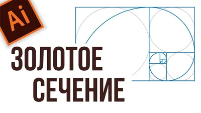 Что такое «золотое сечение»?. На протяжении веков «золотое сечение»… | by  Сергей Базанов | Paradox Review | Medium