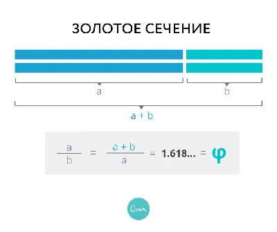 Золотое сечение Фибоначчи и семена подсолнуха. - Натуральные продукты