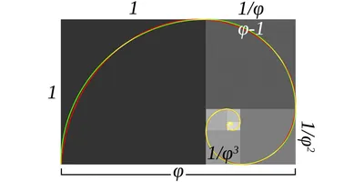 Золотое сечение: как на самом деле строится наш мир