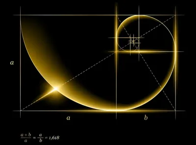 Золотое сечение: как это работает. | Космос просто | Дзен