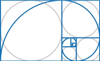 Интернет-агентство BINN » Золотое сечение в дизайне. Советы и примеры -  Интернет-агентство BINN