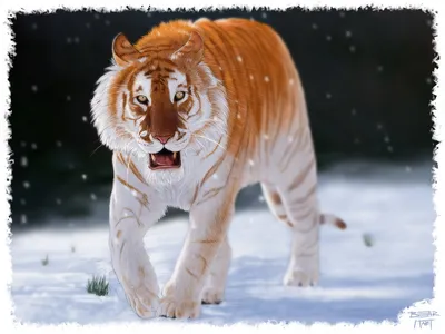 В зоопарке сняли на видео новорожденных котят редчайшего золотого тигра