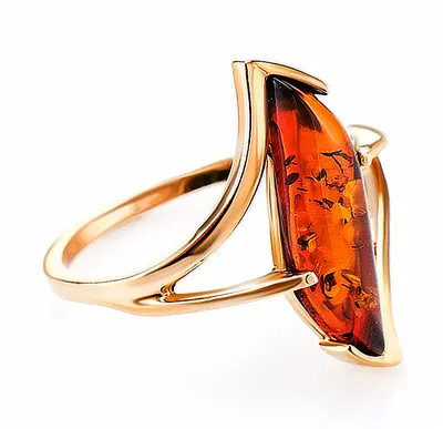 Золотое кольцо Дарвин с янтарём: Золото 585° пробы 10070280 — купить в  ювелирном интернет-магазине Novikov24