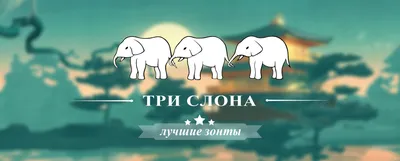 Купить зонт Три слона 500 в Минске