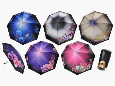 Купить зонт Три слона L3125 в Минске | Интернет магазин зонтов Zonts.by -  оригинальные Японские зонты в Минске