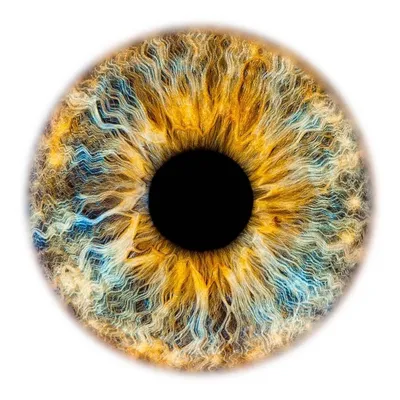 Реалистичный зрачок голубого глаза» — создано в Шедевруме