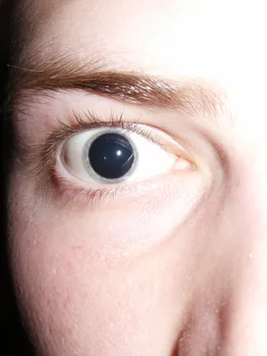 На что и почему реагируют зрачки человеческих глаз? - Hi-News.ru