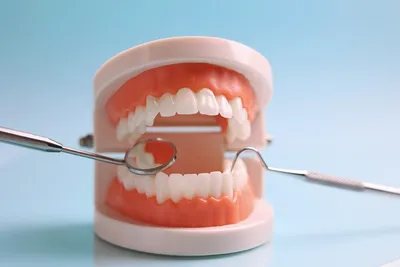 Корень зуба или киста в гайморовой пазухе - что делать?