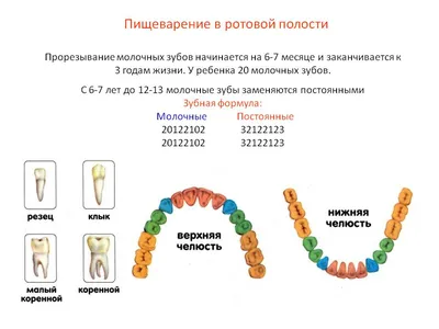 Химическое отбеливание зубов — цены, описание, фото и отзывы в Москве