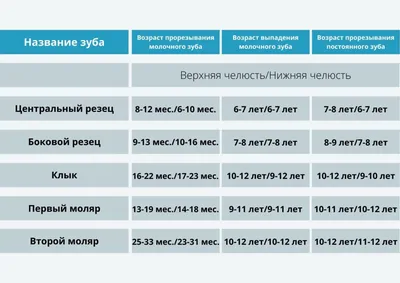 Удаление 6 зуба в Москве: быстро и без боли — стоимость удаления