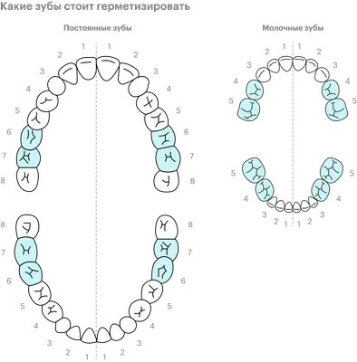 Значение семерок - седьмых зубов для здоровья: глубокий анализ и  рекомендации