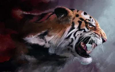 Тигр с открытым ртом и открытым ртом, демонстрирующим зубы. | Премиум Фото