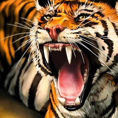 разъяренный тигр щелкает зубами на темном фоне, картинка рычащего тигра фон  картинки и Фото для бесплатной загрузки