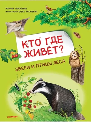 Купить Моя первая книга наклеек. Звери в лесу. Пегас 9789669474100 недорого