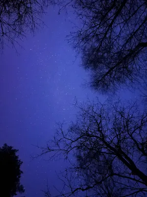 Звездное небо фото на телефон 86 фото